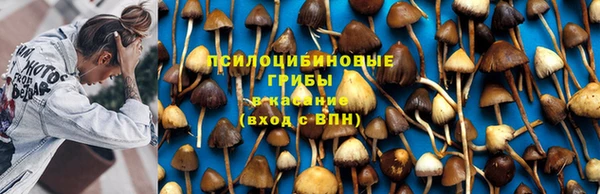 ГАЛЛЮЦИНОГЕННЫЕ ГРИБЫ Волоколамск