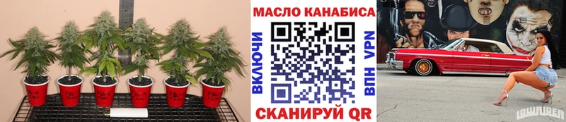 ТГК концентрат Кохма