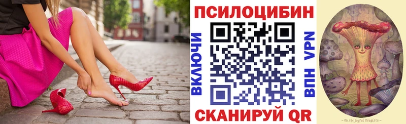 Галлюциногенные грибы Cubensis  Купить закладки  Кохма 